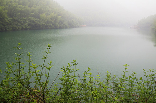 江苏溧阳南山竹海一流的天然氧吧