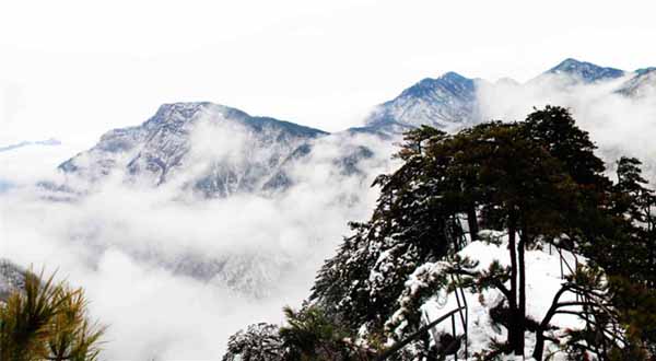 雪后的天堂寨就是一幅冰洁秀美的画卷