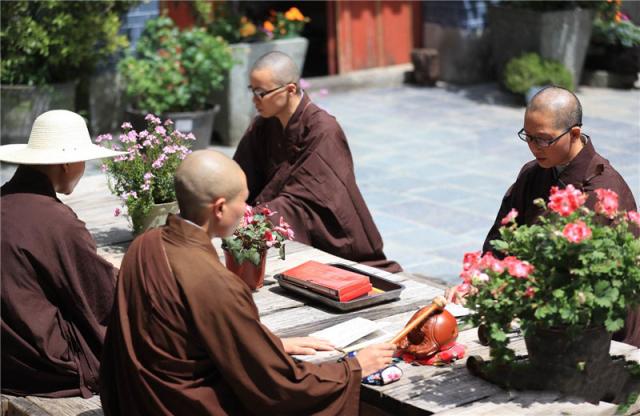 新晋文艺圣地——寂照庵